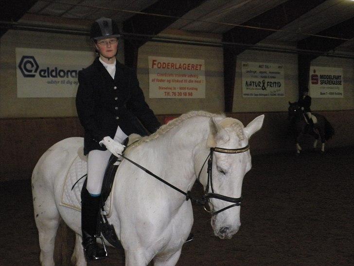 Dalby rideklub - DBR - 20+21november 2010 billede 9