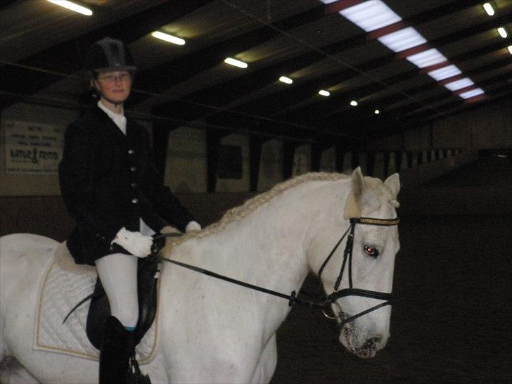 Dalby rideklub - DBR - 20+21november 2010 billede 10