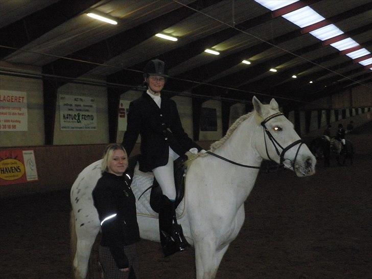 Dalby rideklub - DBR - 20+21november 2010 billede 11