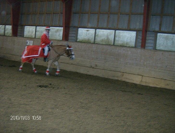 Juleoptog rebild rideskole 2010 billede 1