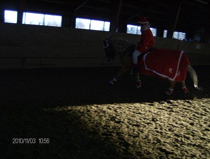 Juleoptog rebild rideskole 2010 billede 5