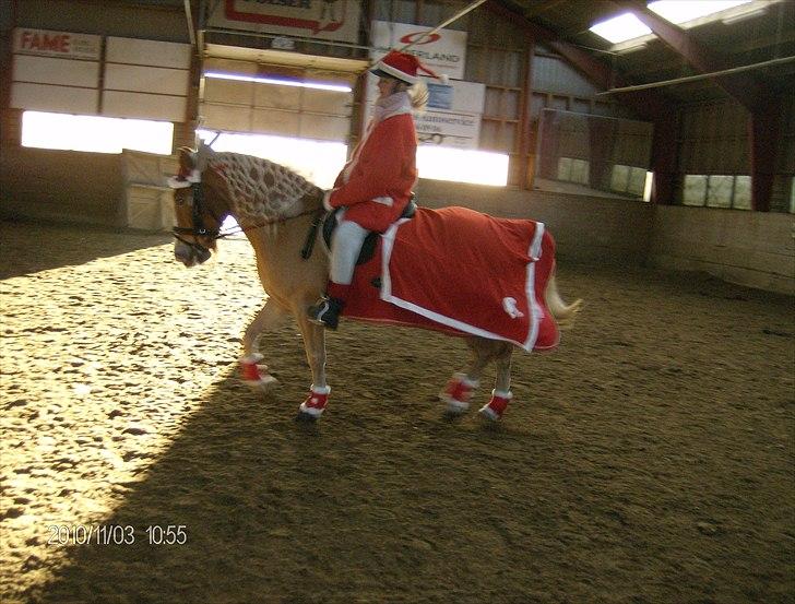 Juleoptog rebild rideskole 2010 billede 6