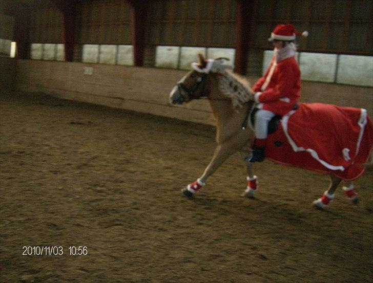 Juleoptog rebild rideskole 2010 billede 12