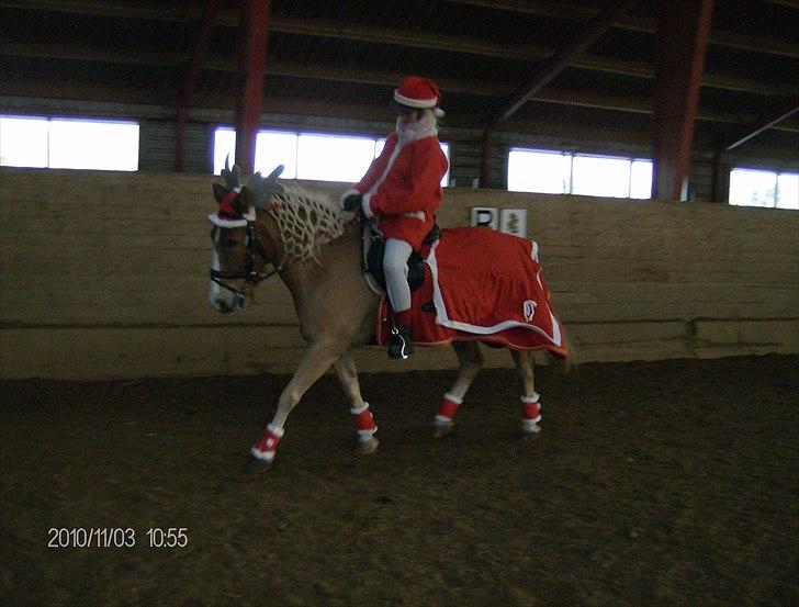 Juleoptog rebild rideskole 2010 billede 15