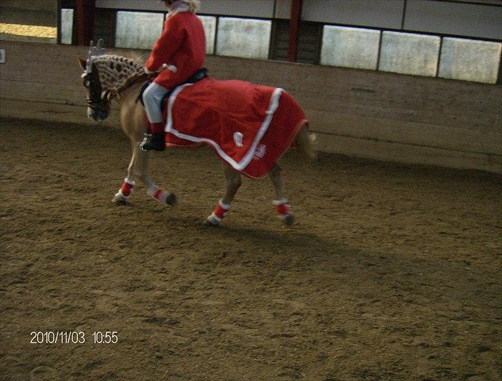 Juleoptog rebild rideskole 2010 billede 16