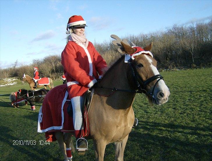 Juleoptog rebild rideskole 2010 billede 18