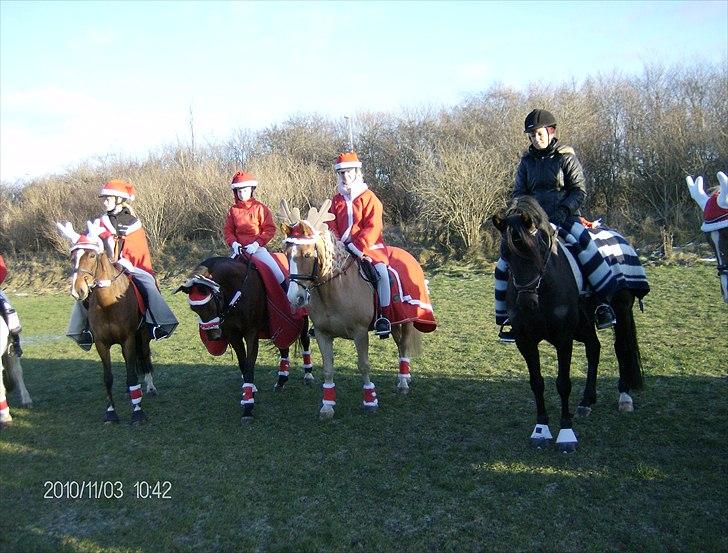 Juleoptog rebild rideskole 2010 billede 20