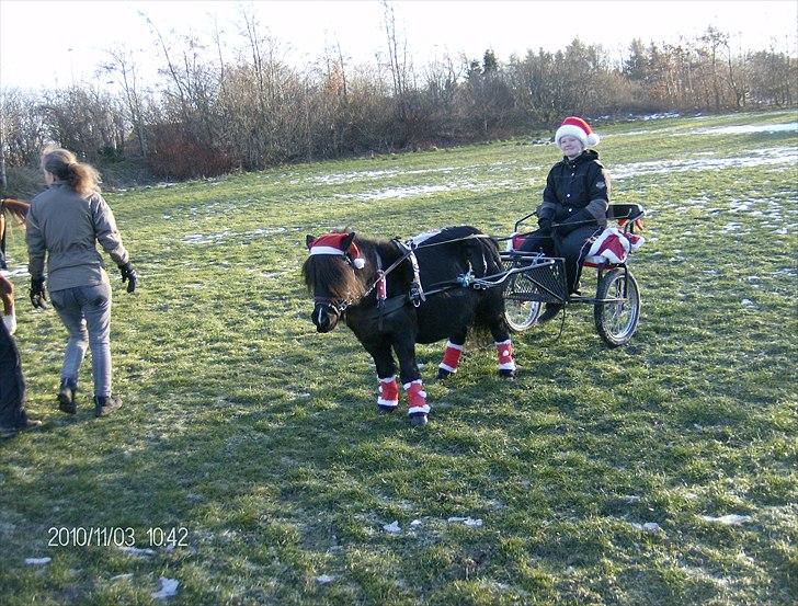 Juleoptog rebild rideskole 2010 billede 22
