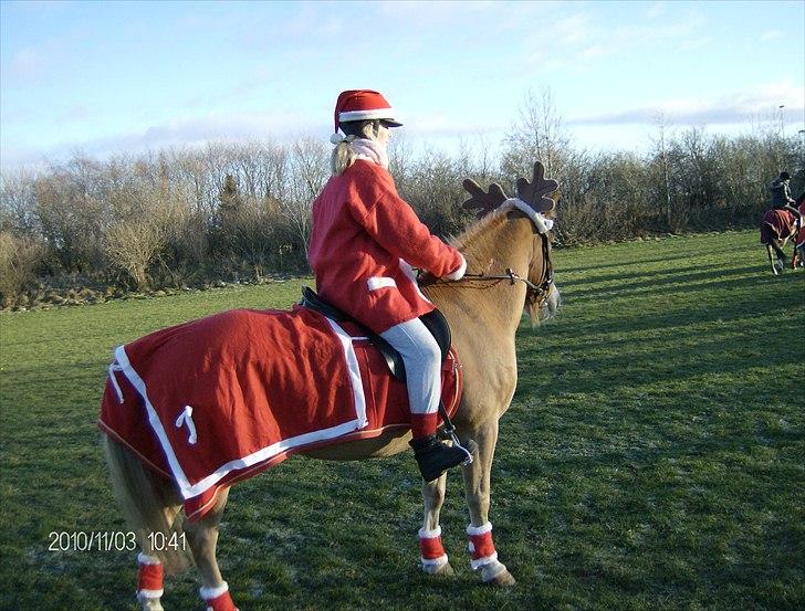 Juleoptog rebild rideskole 2010 billede 23