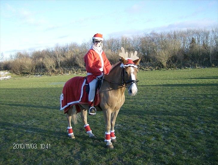 Juleoptog rebild rideskole 2010 billede 24