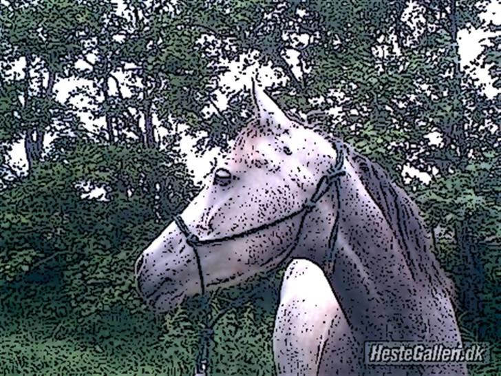 Tegnefilms figur til andre - Linette billede 136