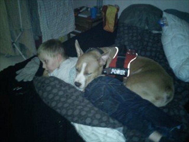 Djarco. - Her ligger Djarco's mor og flyder sammen med hendes snart 5 årige søn (: billede 12