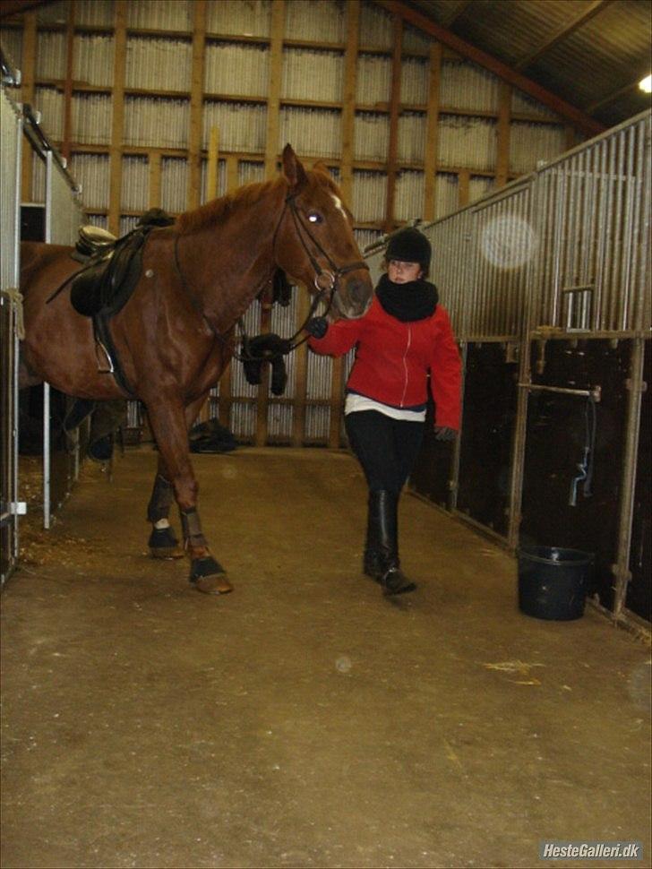 Lando fra ORKK billede 1