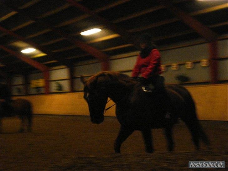 Lando fra ORKK billede 3