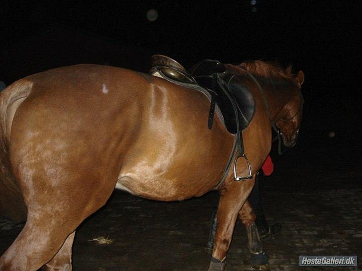 Lando fra ORKK billede 6