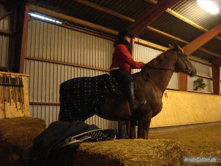 Lando fra ORKK billede 7