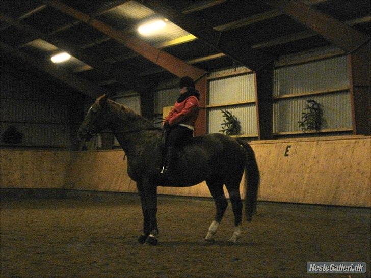 Lando fra ORKK billede 8