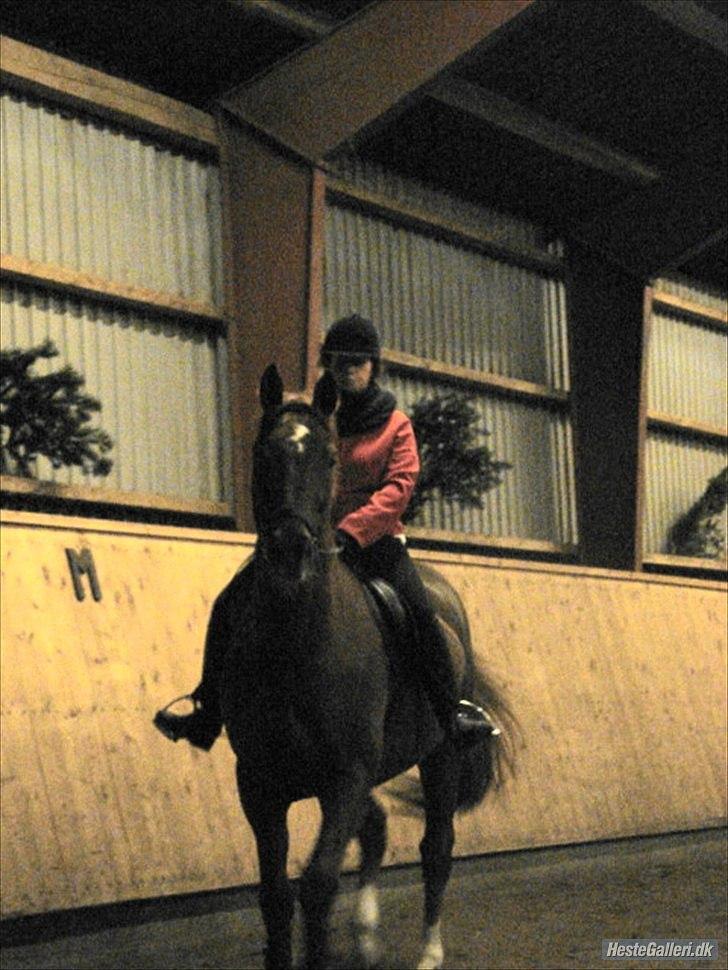 Lando fra ORKK billede 9