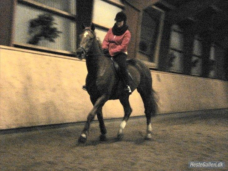 Lando fra ORKK billede 10