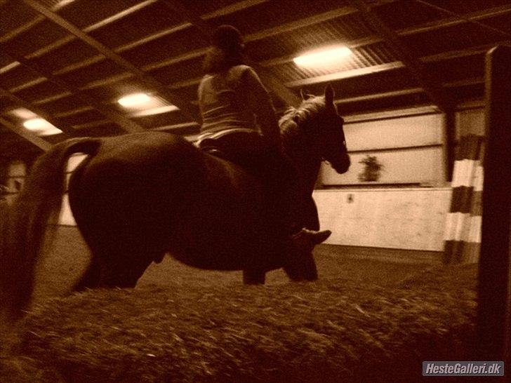 Lando fra ORKK billede 11