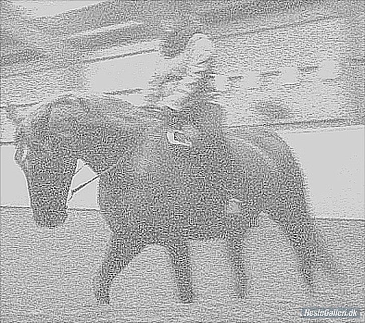 Lando fra ORKK billede 15