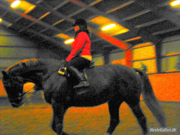 Lando fra ORKK billede 16