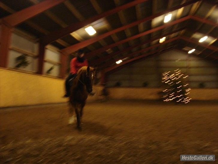 Lando fra ORKK billede 19