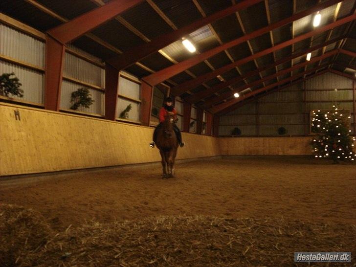 Lando fra ORKK billede 20