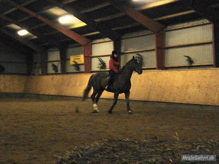 Lando fra ORKK billede 21