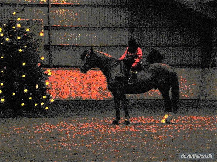 Lando fra ORKK billede 22