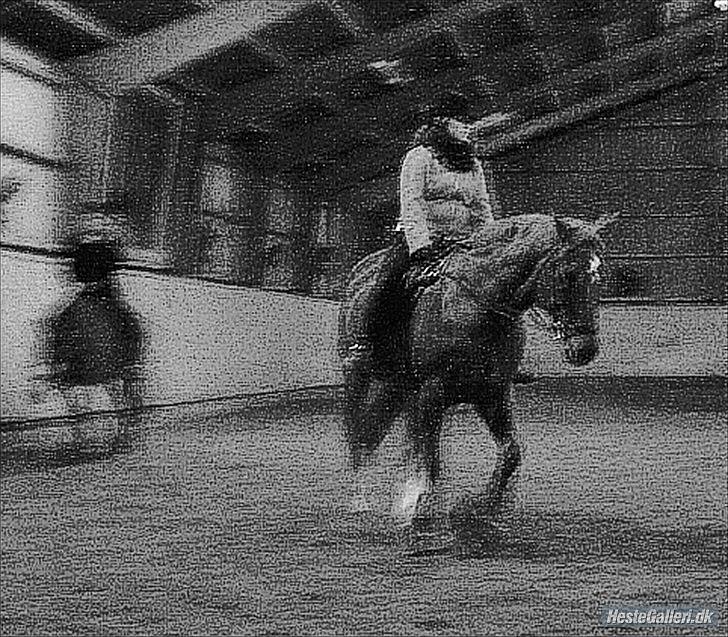 Lando fra ORKK billede 24