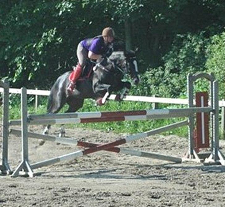 Alt muligt billede 20