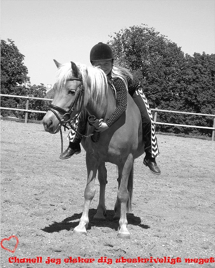 Billeder jeg har lavet  - TIl Chanell og hendes ejer
Det er kun hende der må tage billedet billede 27