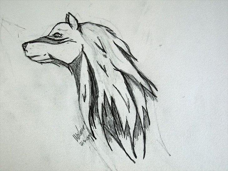 Tegninger - En ulv :) billede 1