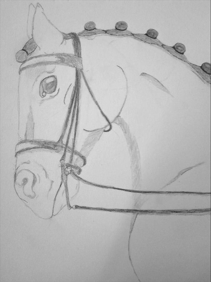 Tegninger billede 3