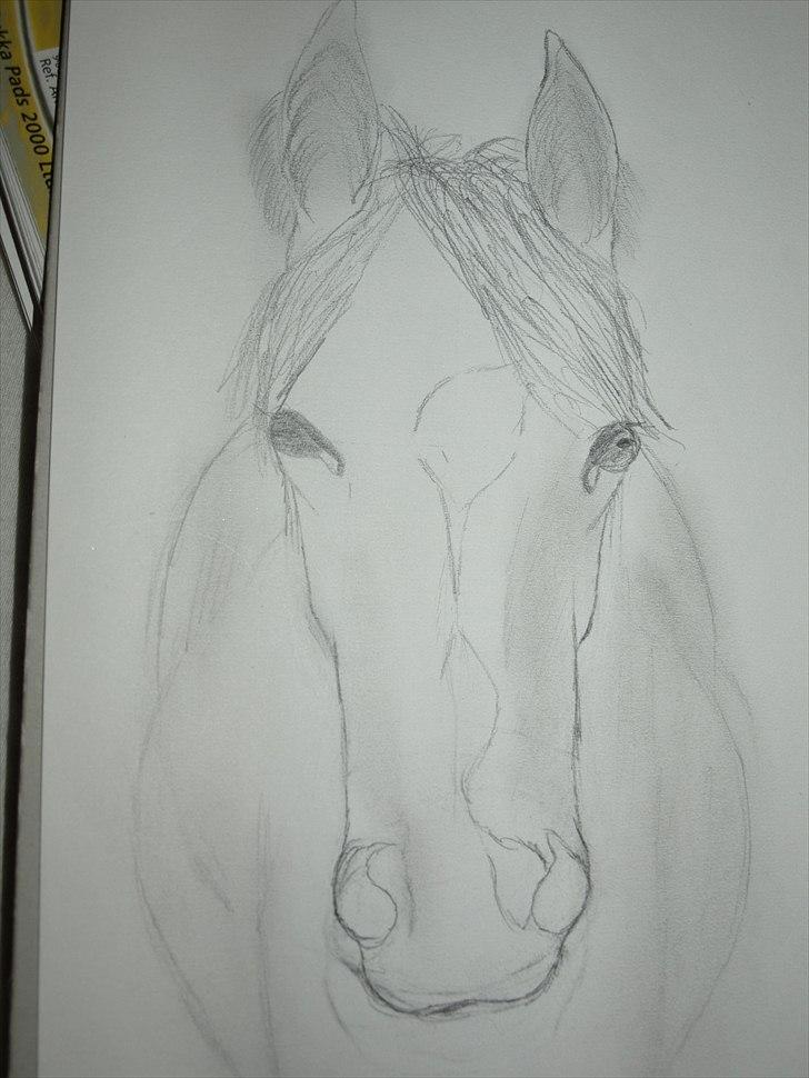 Tegninger - Samme hest bare forfra.. billede 6
