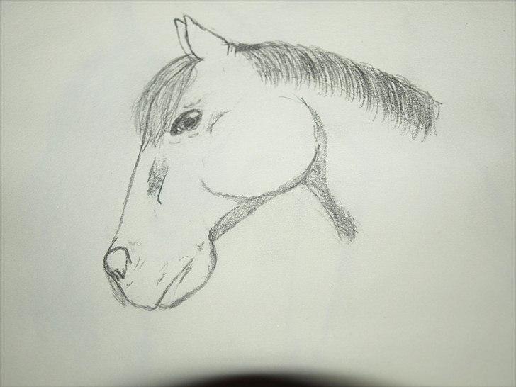 Tegninger billede 10