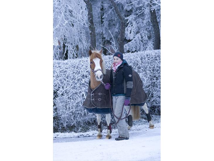 {{currentPhoto.altText}} billede {{currentPhoto.number}}