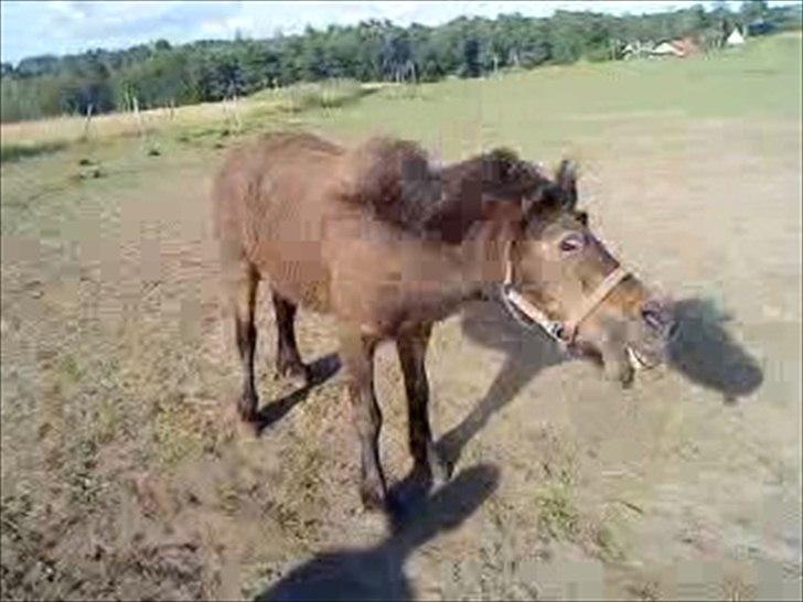 Sjove billeder - Ryste ryste ryste XD
Hugo billede 1