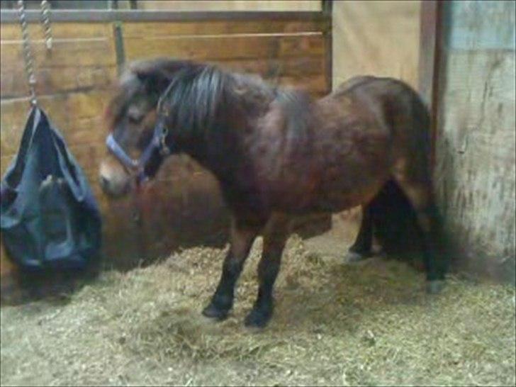 Sjove billeder - Klør røv
Hugo billede 2