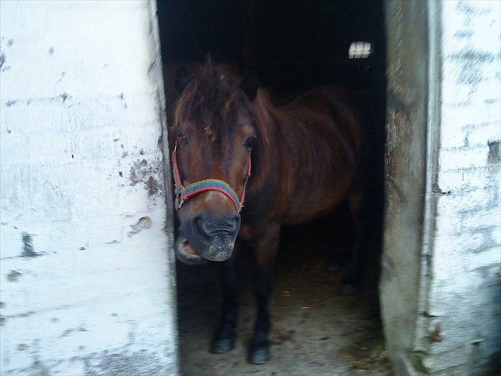 Sjove billeder - XD
Hugo billede 6