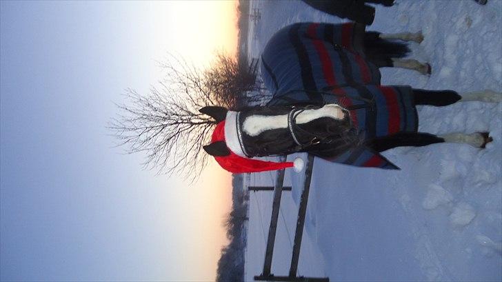 Alt muligt billede 21