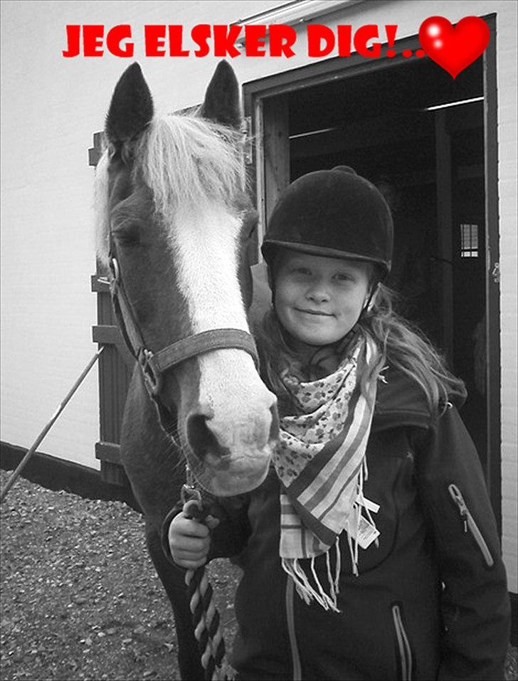 Billeder jeg har lavet  - Til Amalie 
Det er kun hende der må tage billedet billede 29