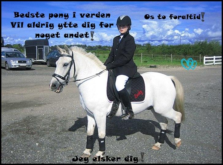 Billeder jeg har lavet  - Til Lucky´s ejer 
Det er kun hende der må tage billedet billede 30