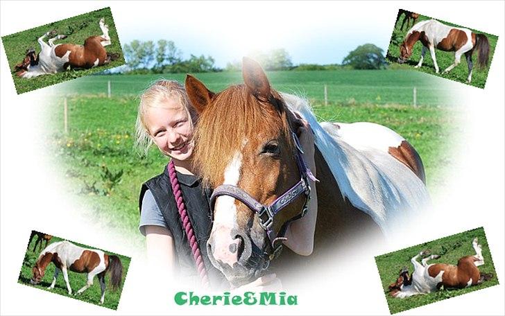 Billeder jeg har lavet  - Til Mia 
det er kun hende der må tage billedet billede 31