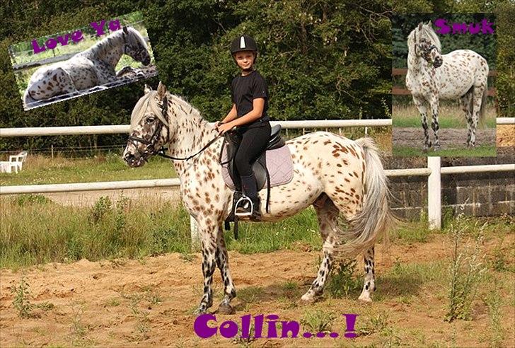 Billeder jeg har lavet  - Til Collin N´s ejer 
det er kun hende der må tage billedet billede 32