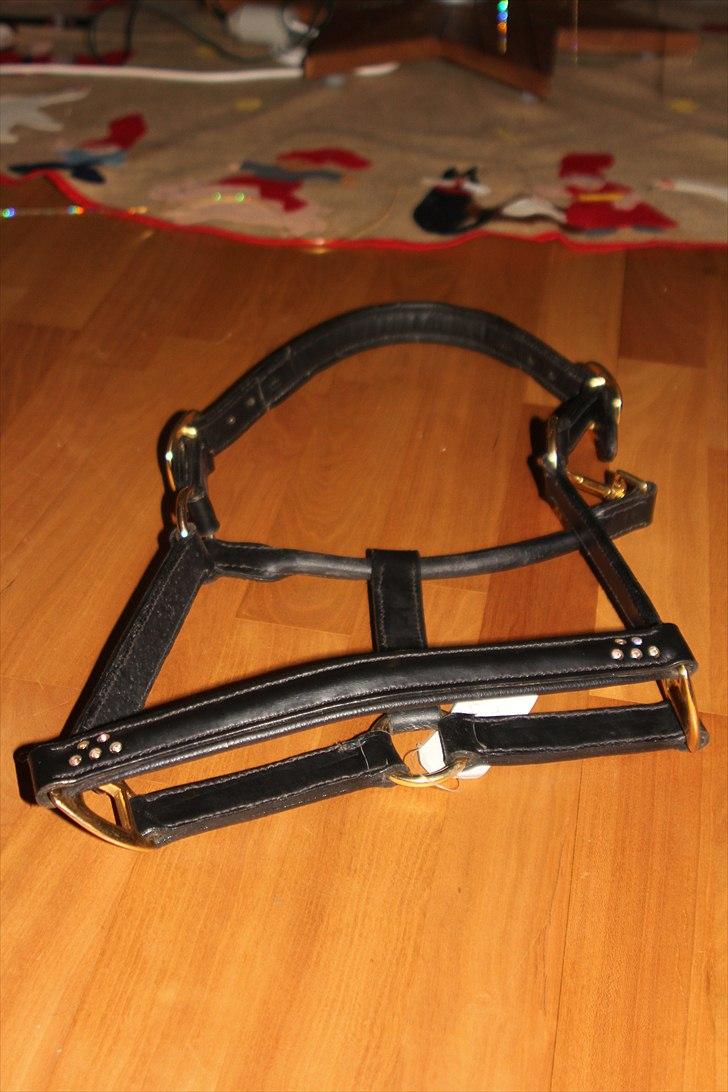 Julegaver 2010 :P - Lædergrime - fra Helena (bedsteveninde)! billede 8