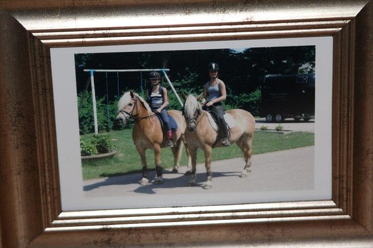 Julegaver 2010 :P - Billede fra sommertur med bedsteveninde - fra Helena! billede 10