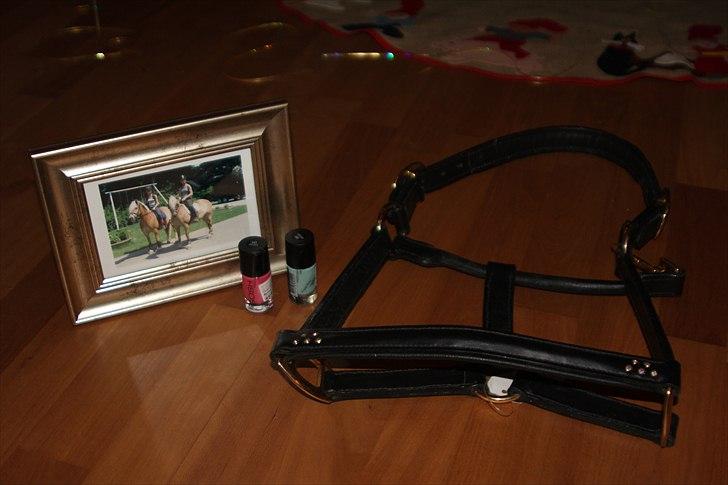 Julegaver 2010 :P - Tingene fra Helena :D billede 11