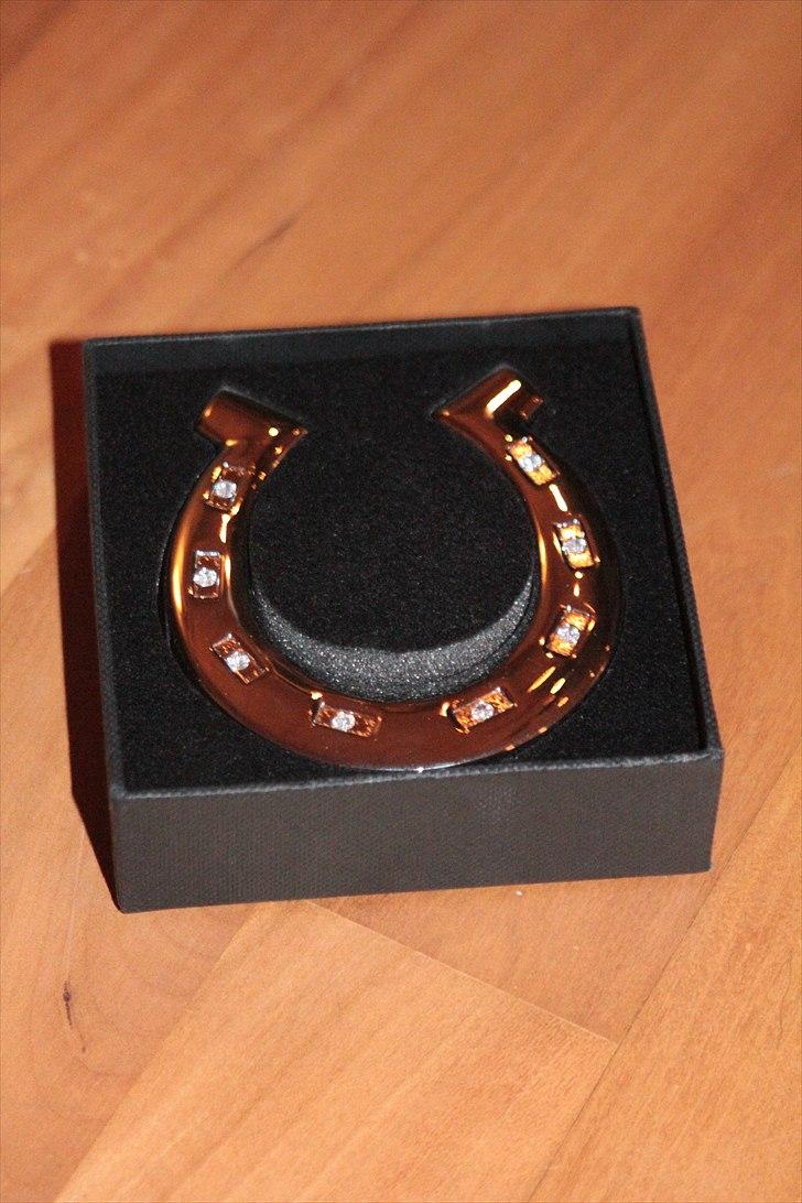 Julegaver 2010 :P - Magnethestesko - fra Catrine (veninde i dubai)! billede 21